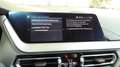 BMW 118 118iAdvantage LCP LED adap. DAB FLA DAT LDS EU6d Grau - thumbnail 38