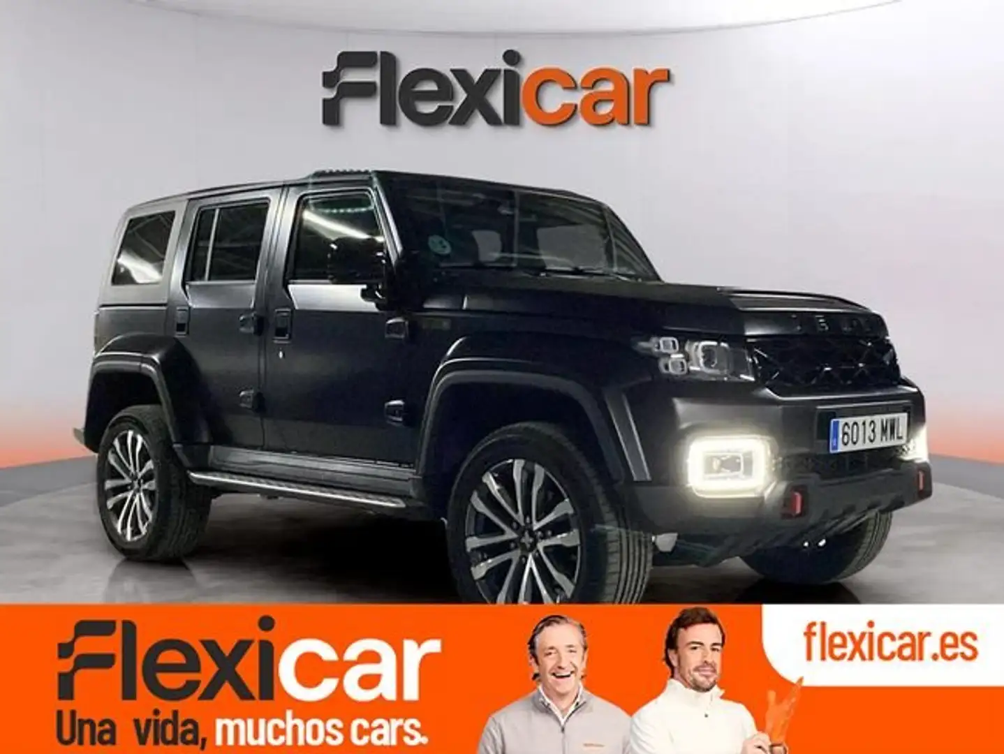 DR Automobiles Sonstige 162CV Grau - 1