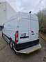 Renault Master Home delivery L3H2 3.5t 135pk 2.3dCi 15km NIEUW - thumbnail 2