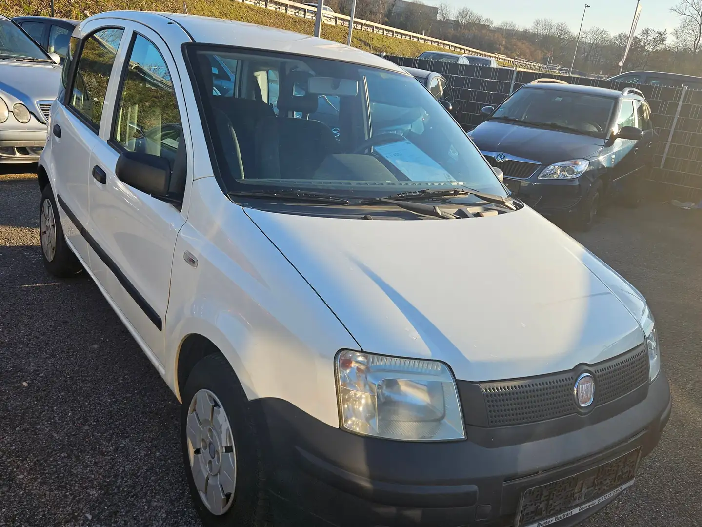 Fiat Panda 1.1 8V Active TÜV+AU Neu Weiß - 1