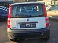 Fiat Panda 1.1 8V Active TÜV+AU Neu Weiß - thumbnail 5