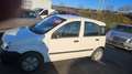 Fiat Panda 1.1 8V Active TÜV+AU Neu Weiß - thumbnail 3