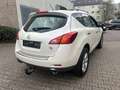 Nissan Murano 3.5 V6 *LEDER NAVI XENON AHK*, Scheckheft Weiß - thumbnail 5