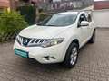 Nissan Murano 3.5 V6 *LEDER NAVI XENON AHK*, Scheckheft Weiß - thumbnail 3