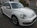 Volkswagen Beetle The Beetle The 1.2 TSI Weiß - thumbnail 6