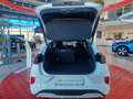Ford Puma ST-LINE 5D 1.0T 125 MHEV DC7 FWD Weiß - thumbnail 5