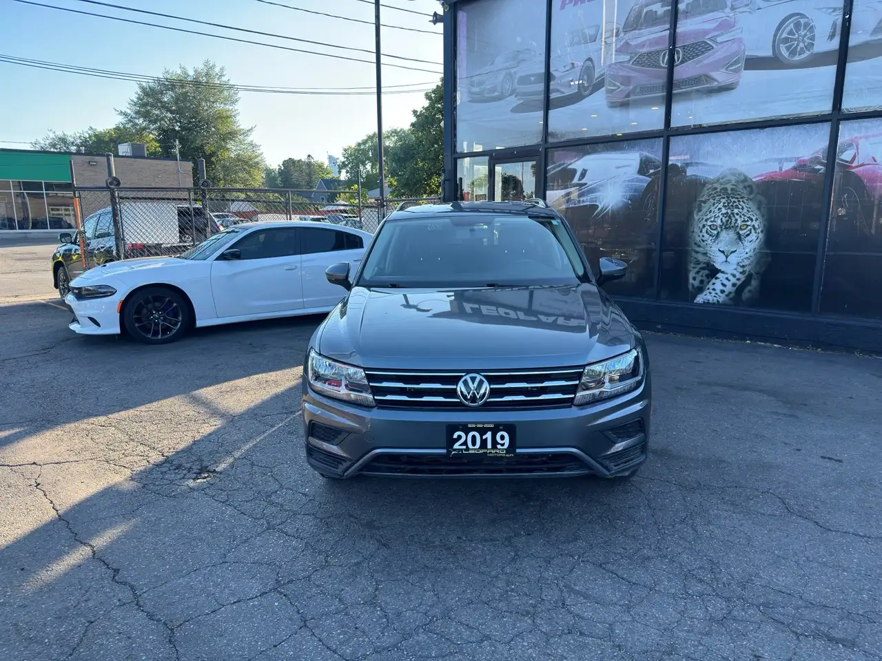 Volkswagen Tiguan снимка Volkswagen Tiguan