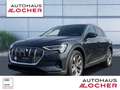 Audi e-tron 55 quattro Navi Leder dig Cockpit LED ACC Grigio - thumbnail 1