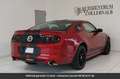 Ford Mustang GT Premium Tout compris hors homologation 4500e Rouge - thumbnail 14