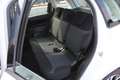 Fiat 500L Wagon 1.3 mjt Business 95cv my20 Alb - thumbnail 21