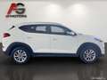 Hyundai TUCSON 1,7 CRDI Start-Stopp Style DCT Blanc - thumbnail 4