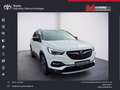 Opel Grandland X Plug-in-Hybrid4 1.6 DI Aut Business INNOVATION Blanc - thumbnail 16