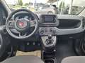 Fiat Panda MODELL 2025 1.0 Hybrid CITY-PAKET 5-S. Blauw - thumbnail 13