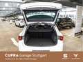 SEAT Leon Sportstourer 1.5 eTSI Xcellence DSG 110 kW Weiß - thumbnail 14