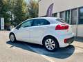 Kia Rio Blanc - thumbnail 9
