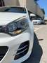 Kia Rio Blanc - thumbnail 5