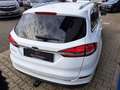 Ford Mondeo Turnier 2,0 TDCi "Business Edition" *AHK*SHZ*NAV* Weiß - thumbnail 5