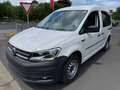 Volkswagen Caddy Nfz Kasten BMT Benzin/Gas CNG Blanc - thumbnail 3
