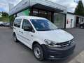 Volkswagen Caddy Nfz Kasten BMT Benzin/Gas CNG Blanc - thumbnail 1