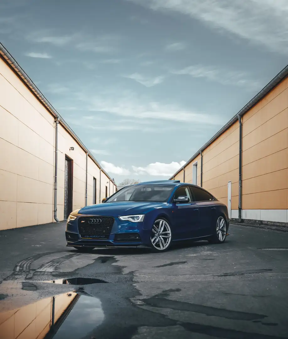 Audi S5 3.0 TFSI q. Pro L S-tronic Azul - 1