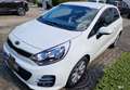 Kia Rio 1.2 Dream Team Edition Weiß - thumbnail 2