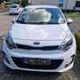 Kia Rio 1.2 Dream Team Edition Weiß - thumbnail 3
