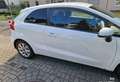 Kia Rio 1.2 Dream Team Edition Weiß - thumbnail 6