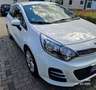 Kia Rio 1.2 Dream Team Edition Weiß - thumbnail 5