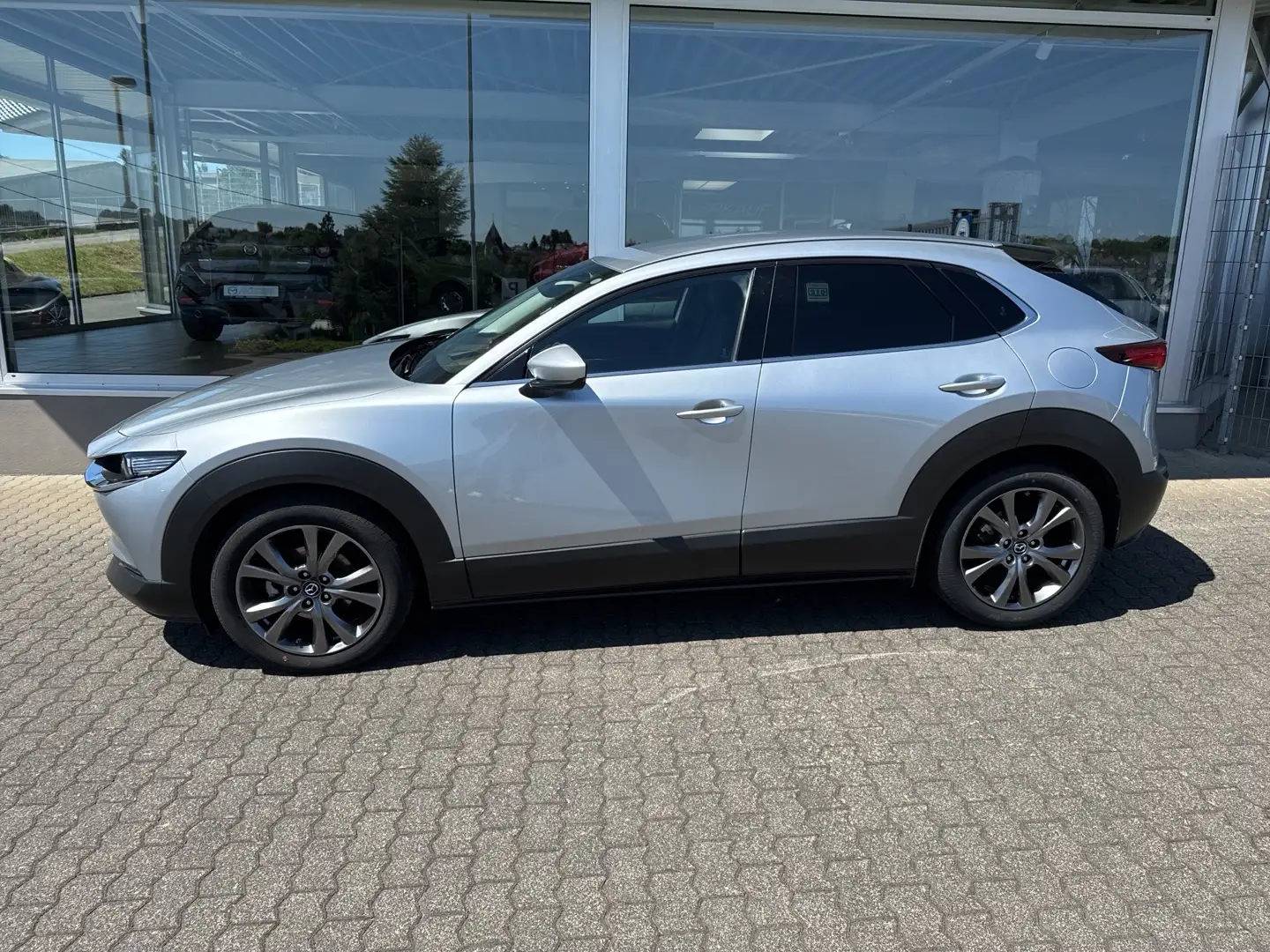 Mazda CX-30 Selection Design-Paket Leder Argento - 2