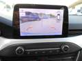 Ford Focus 1.5 ecoblue Business s&s 95cv my20.75 Bleu - thumbnail 10