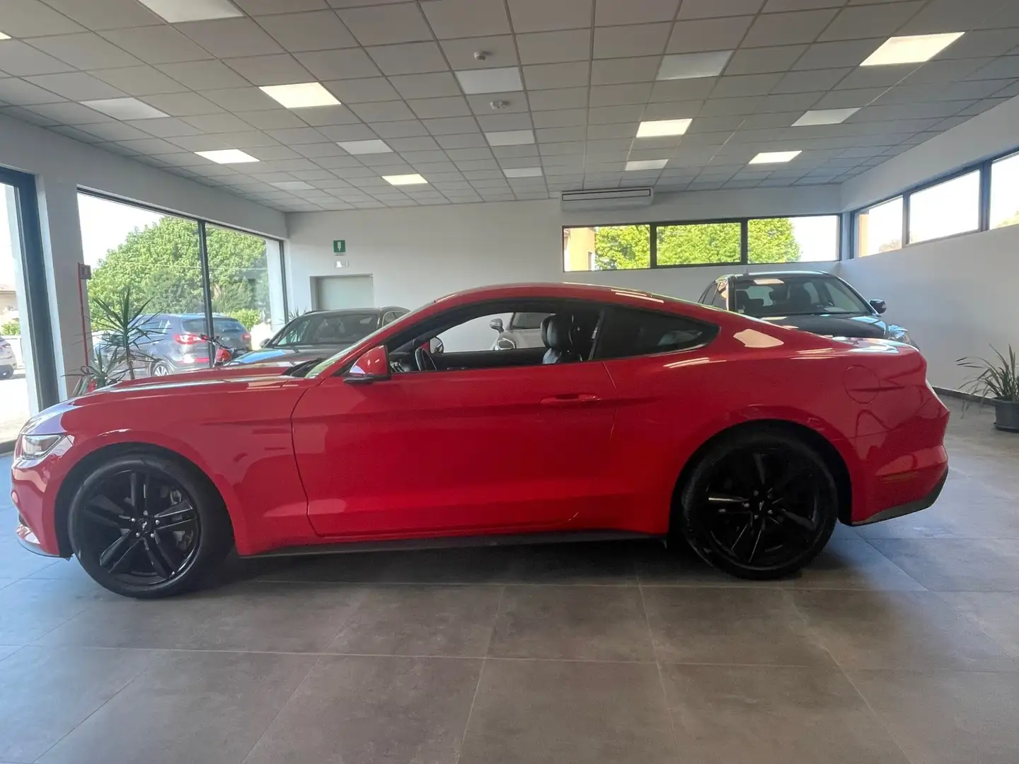 Ford Mustang Mustang Fastback 2.3 EcoBoost Rosso - 2