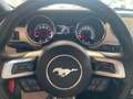 Ford Mustang Mustang Fastback 2.3 EcoBoost Rosso - thumbnail 15
