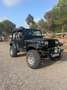 Jeep Wrangler YJ Zwart - thumbnail 7