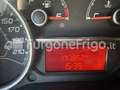 Fiat Doblo Fiat Doblò Coibentato Isotermico Frigorifero Bianco - thumbnail 15