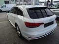 Audi A4 Avant 2,0 TDI S-tronic Weiß - thumbnail 6