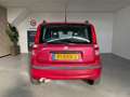 Fiat Panda 1.2 Active Airco Rood - thumbnail 11