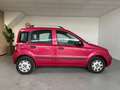 Fiat Panda 1.2 Active Airco Rot - thumbnail 8