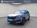 Skoda Karoq 2.0 TSI 4x4 DSG Sportline Grau - thumbnail 1