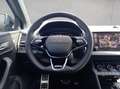 Skoda Karoq 2.0 TSI 4x4 DSG Sportline Grau - thumbnail 10