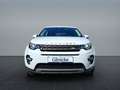 Land Rover Discovery Sport 2.0 TD4 SE SICHT-PAKET SHZ Blanco - thumbnail 8