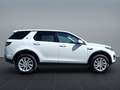 Land Rover Discovery Sport 2.0 TD4 SE SICHT-PAKET SHZ Blanco - thumbnail 6