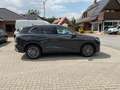 Volkswagen Tiguan 1.5 eTSI DSG Elegance,AHK,360°Kamera,IQLi Gris - thumbnail 4