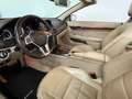 Mercedes-Benz E 500 E 500 CGI BlueEfficiency , Cabrio, AMG Line Weiß - thumbnail 16