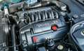 Jaguar Daimler V8 Langversion 3 Jahre Garantie Grün - thumbnail 12