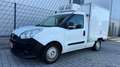 Fiat Doblo Kühltransporter 1.3 JTD, Tiefkühlung R404A Weiß - thumbnail 1