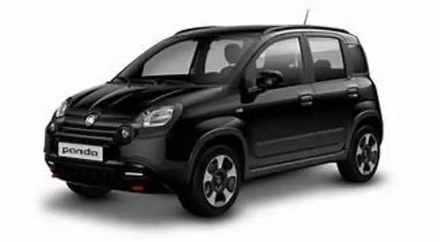 Fiat Panda City Plus mit Ahk bis6.12 nur 10000 Euro .
