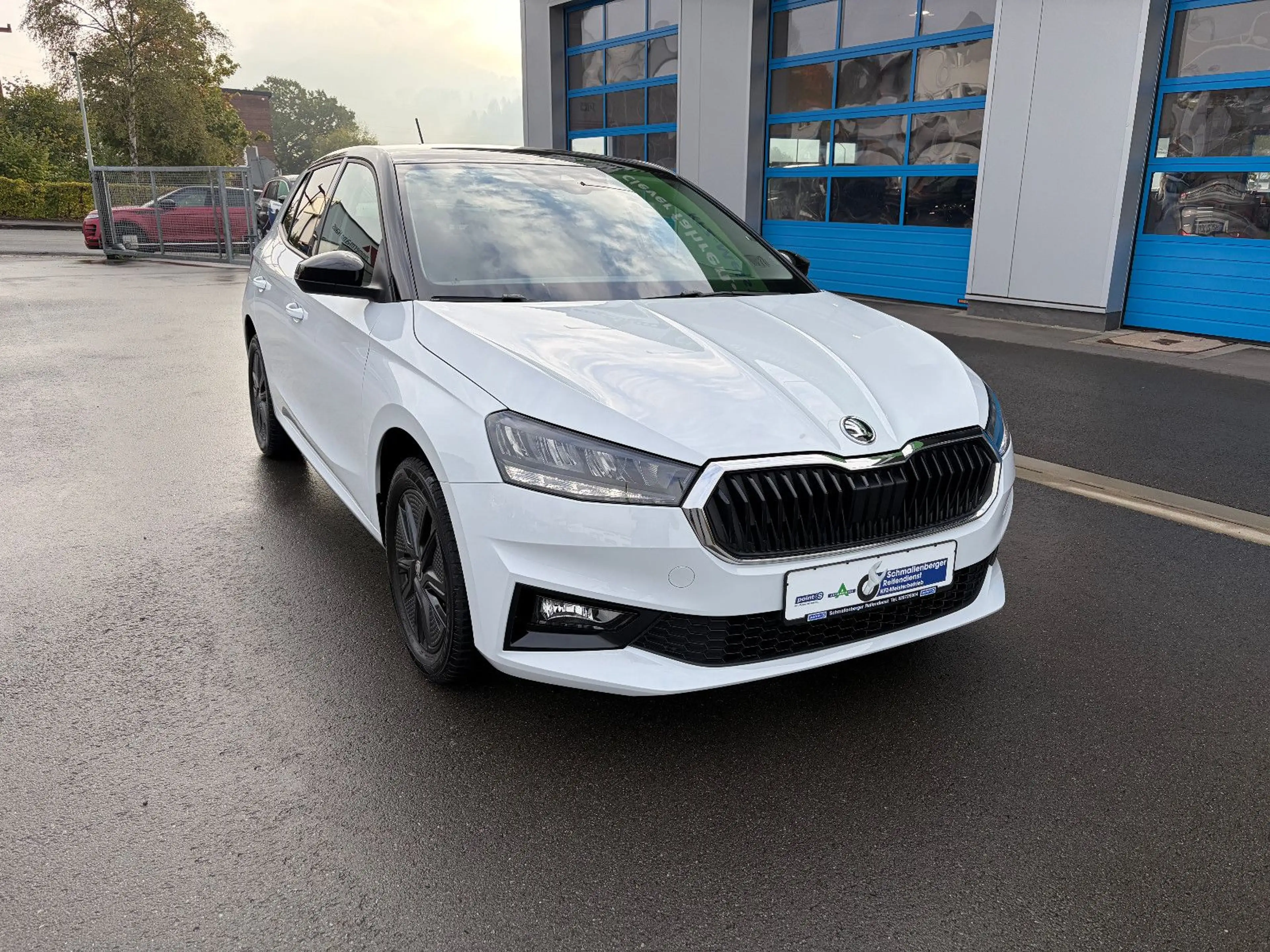 Skoda Fabia 1.0 TSi Ambition LED APPLE CAR ANDROID — photo 2