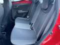 Toyota Aygo 1.0 Benzina 72CV E6 Automatica - 2019 Red - thumbnail 7
