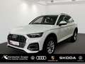 Audi Q5 40 TDI quattro Business+TourPaket AHK Weiß - thumbnail 1