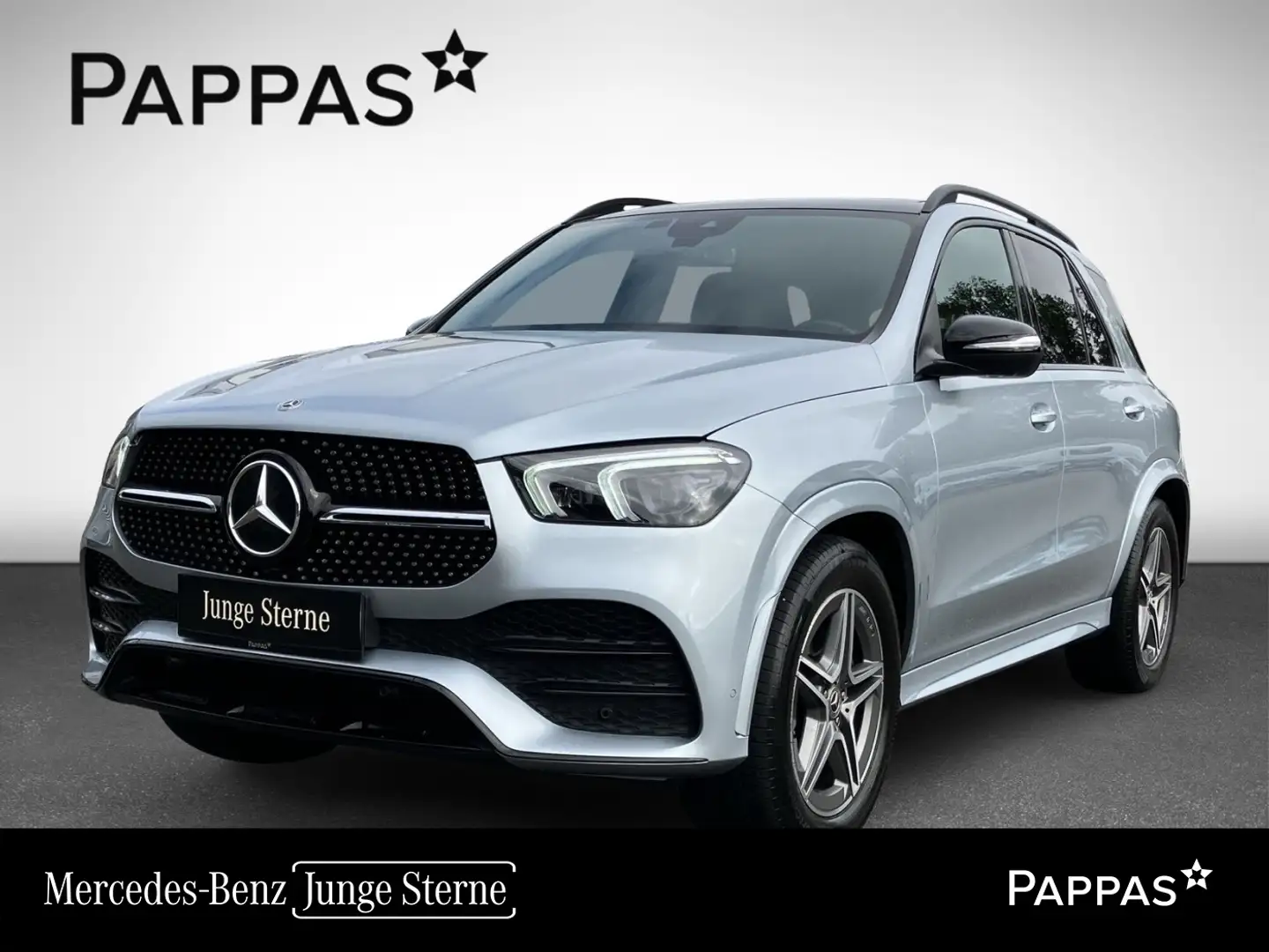 Mercedes-Benz GLE 400 d 4MATIC EASY-PACK Navi SHZ Distr LED Silber - 1